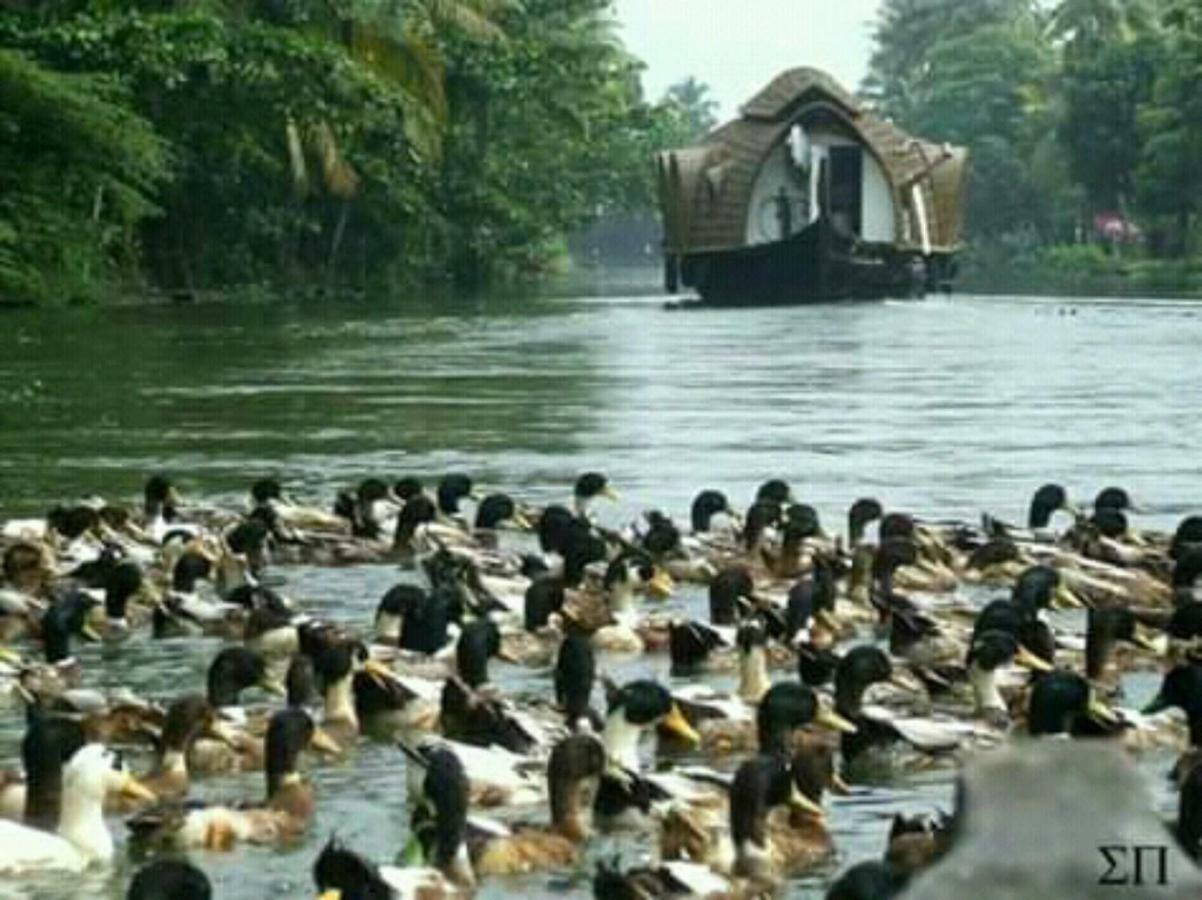 RAJATHEERAM BEACH HOMESTAY Alappuzha Esterno foto
